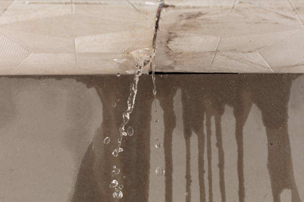 Professional Structural Drying technician working in Ogilvie, MN